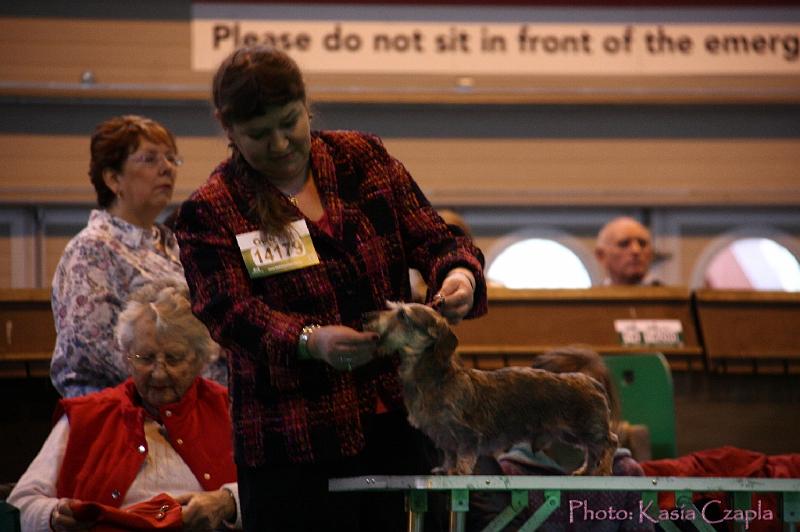 Crufts2011_2 423.jpg